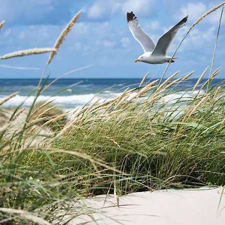 Apartment Stylish By Rubensplein Knokke-Heist