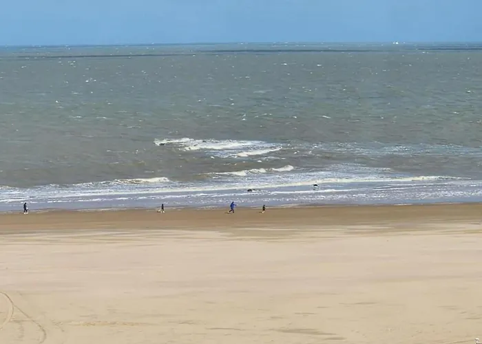 Апартаменты Stylish By Rubensplein Кнокке-Хейст