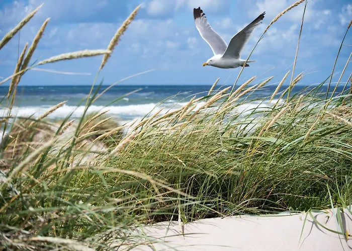 Апартаменты Stylish By Rubensplein